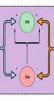 Neuropathic Pain: A Review of Interneuronal Disinhibition